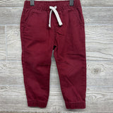 Pull On Drawstring Jogger Pants 2t