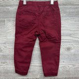 Pull On Drawstring Jogger Pants 2t