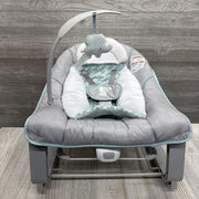 2-in-1 Rocker & Bouncer Duo