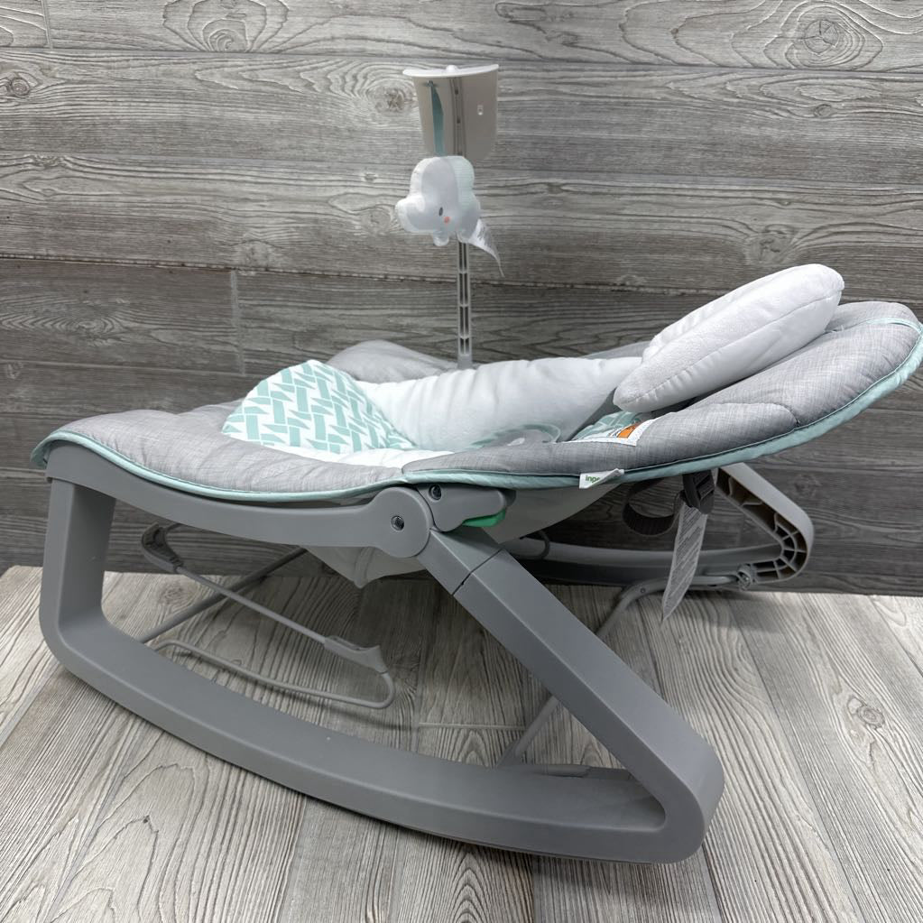 2-in-1 Rocker & Bouncer Duo