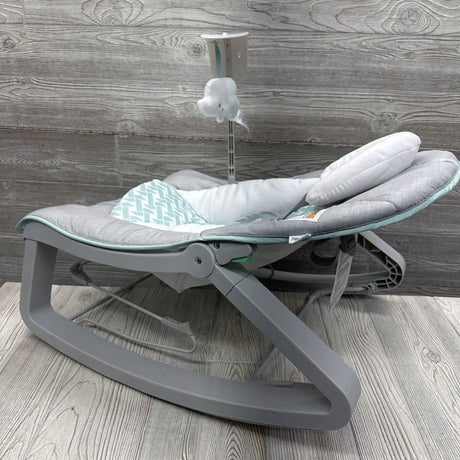 2-in-1 Rocker & Bouncer Duo