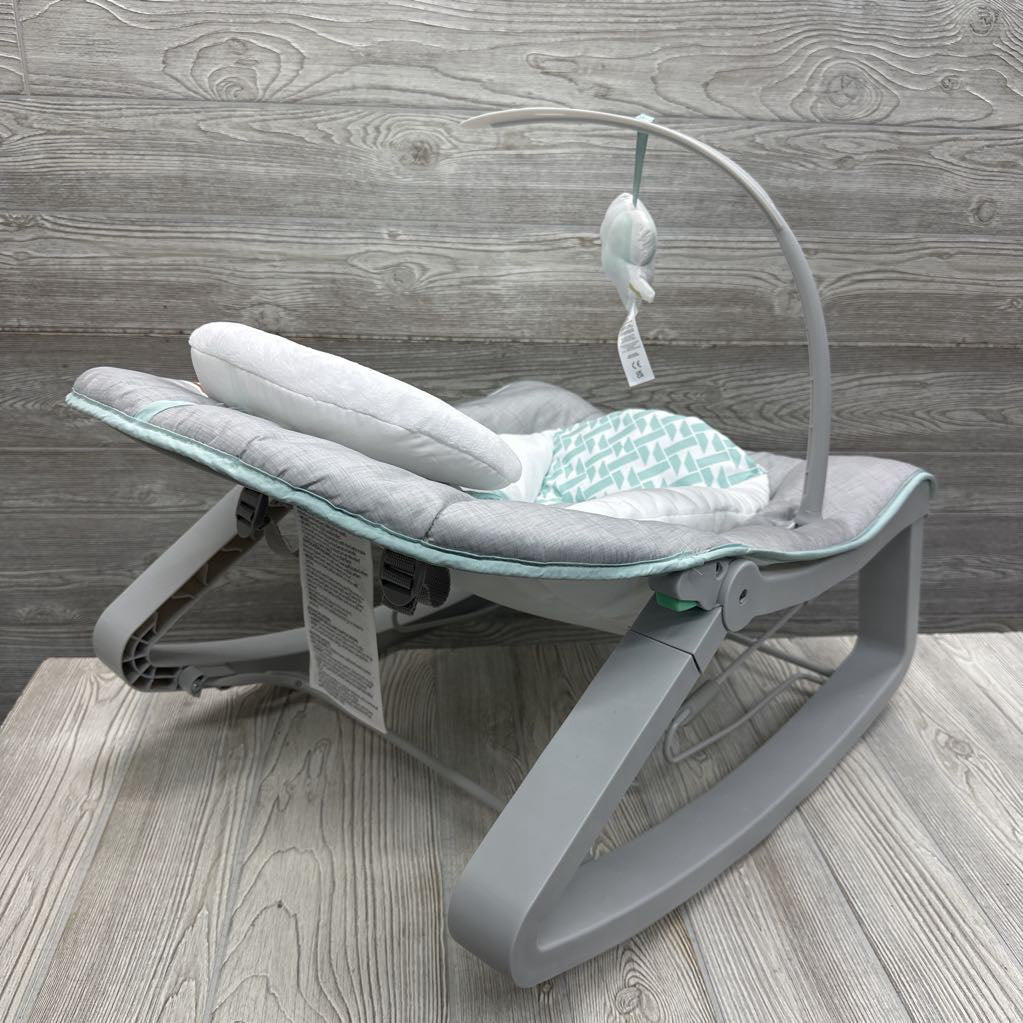 2-in-1 Rocker & Bouncer Duo