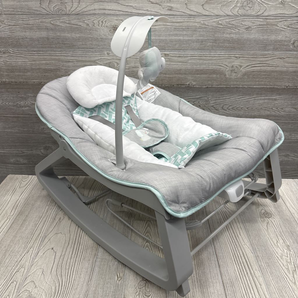 2-in-1 Rocker & Bouncer Duo
