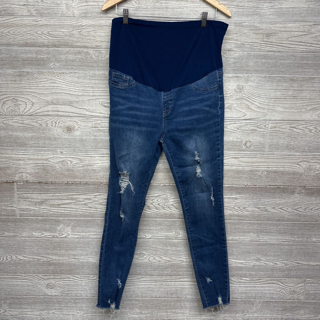 Full Panel Distressed Skinny Jeans Large