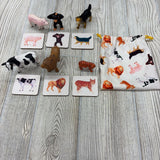Montessori Animal Match