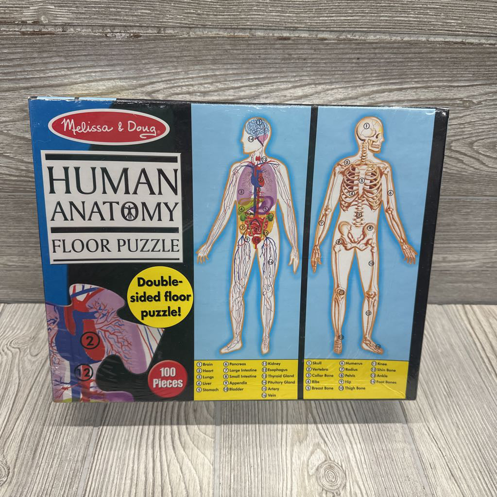 NEW Double Sided Floor Puzzle Human Anatomy