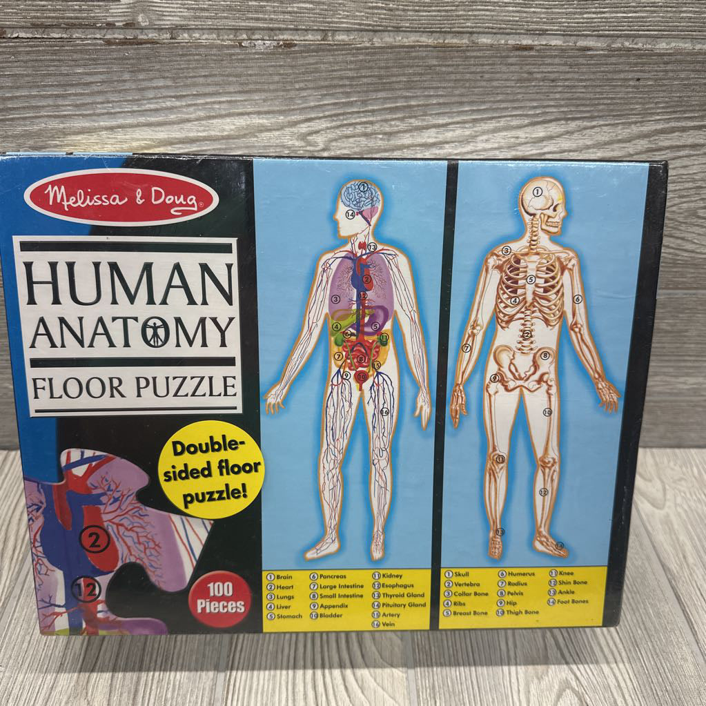 NEW Double Sided Floor Puzzle Human Anatomy