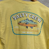 Shirt Fish 10-12
