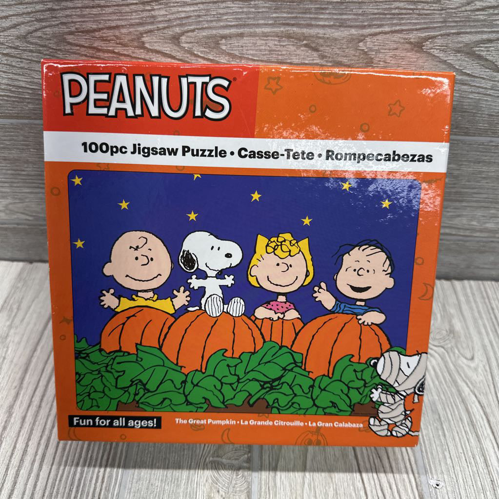 NEW 100 Pc Jigsaw Puzzle