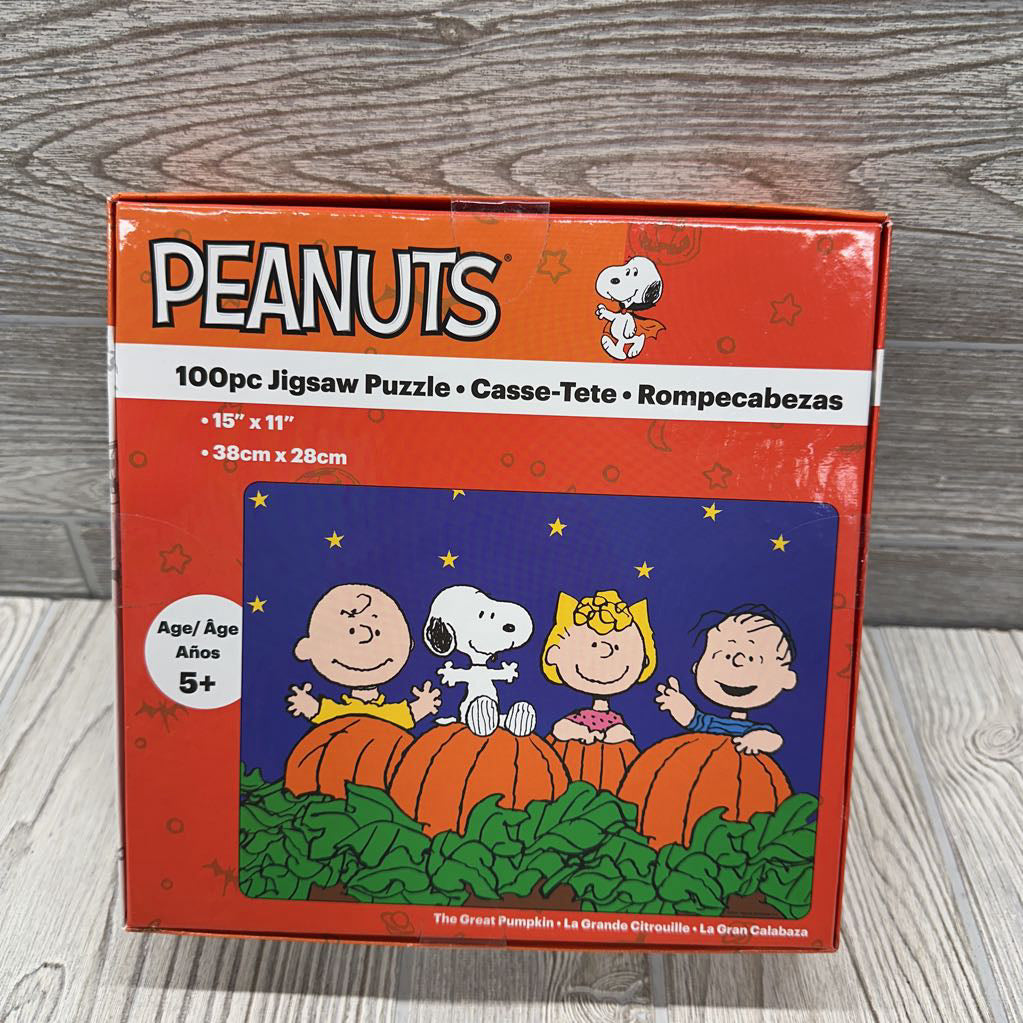 NEW 100 Pc Jigsaw Puzzle