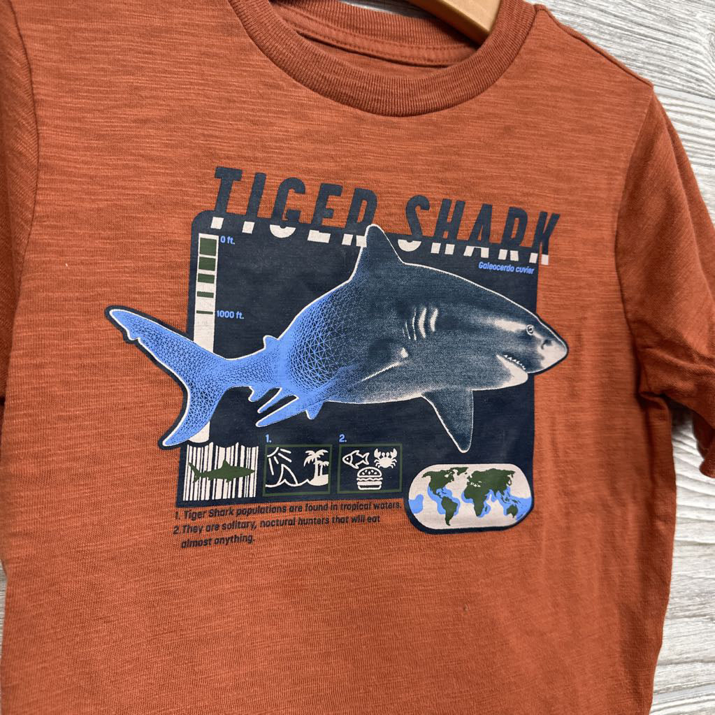 Shirt Tiger Shark 6