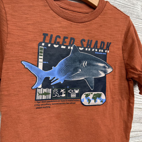 Shirt Tiger Shark 6