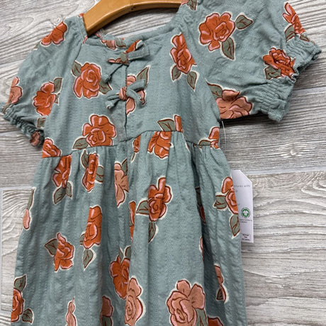 NEW Pointelle Dress Flowers Bows 18M