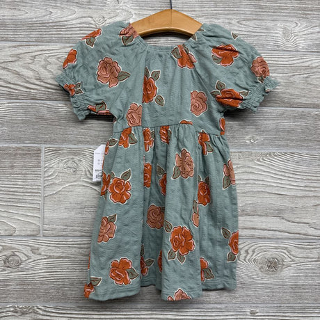 NEW Pointelle Dress Flowers Bows 18M