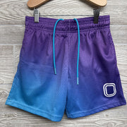 Mesh Shorts Ombre 13