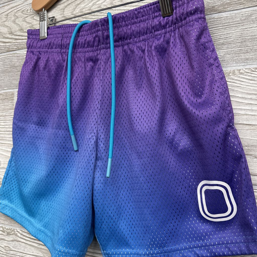Mesh Shorts Ombre 13