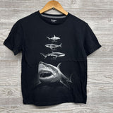 Shirt Sharks 10-12