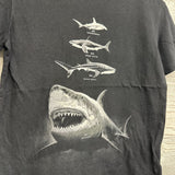 Shirt Sharks 10-12