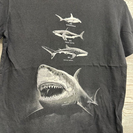 Shirt Sharks 10-12