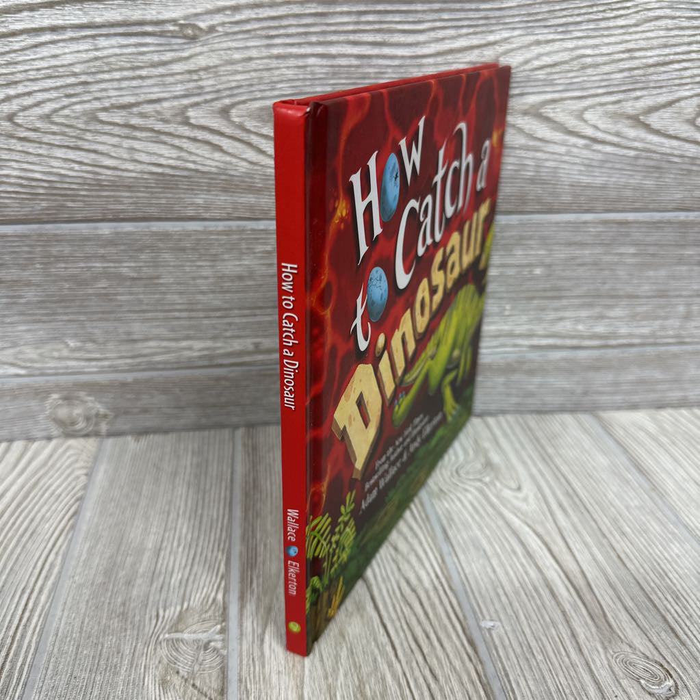 How To Catch A Dinosaur Hardcover Book