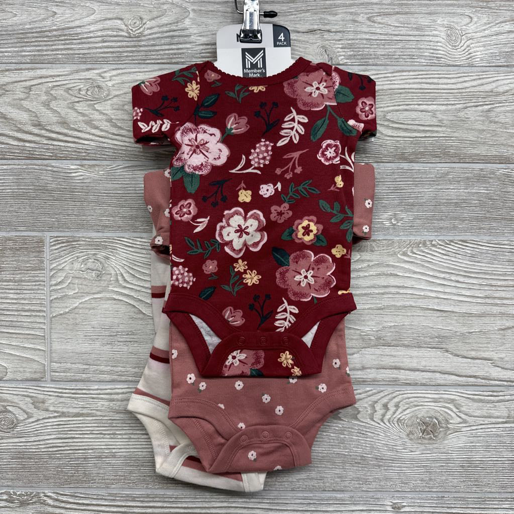 NEW 3 Pk LS Bodysuits Flowers Stripes NB