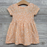 Jersey Dress Flowers & Bloomers 12M