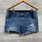 Side Panel Distressed Denim Midi Shorts 8/Medium