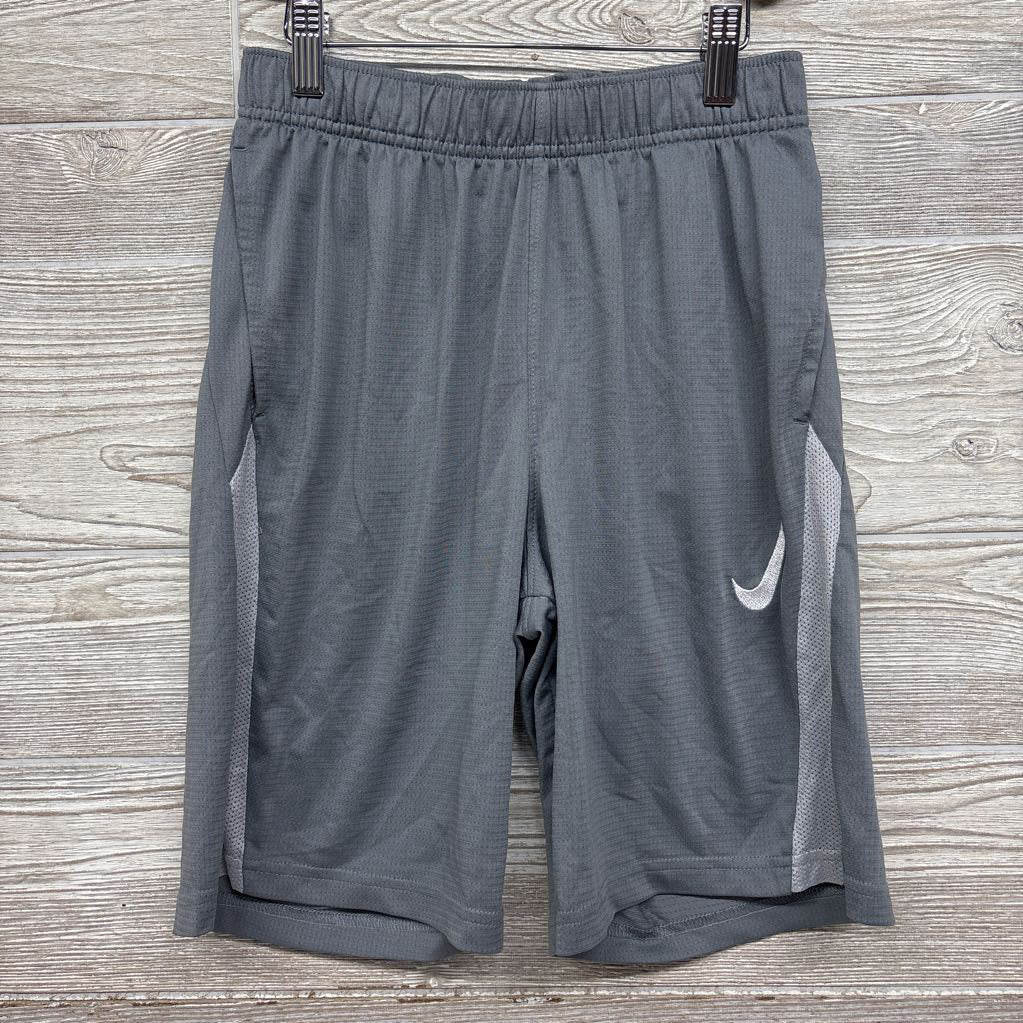 Active Dri-Fit Shorts 14