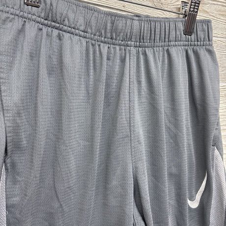 Active Dri-Fit Shorts 14