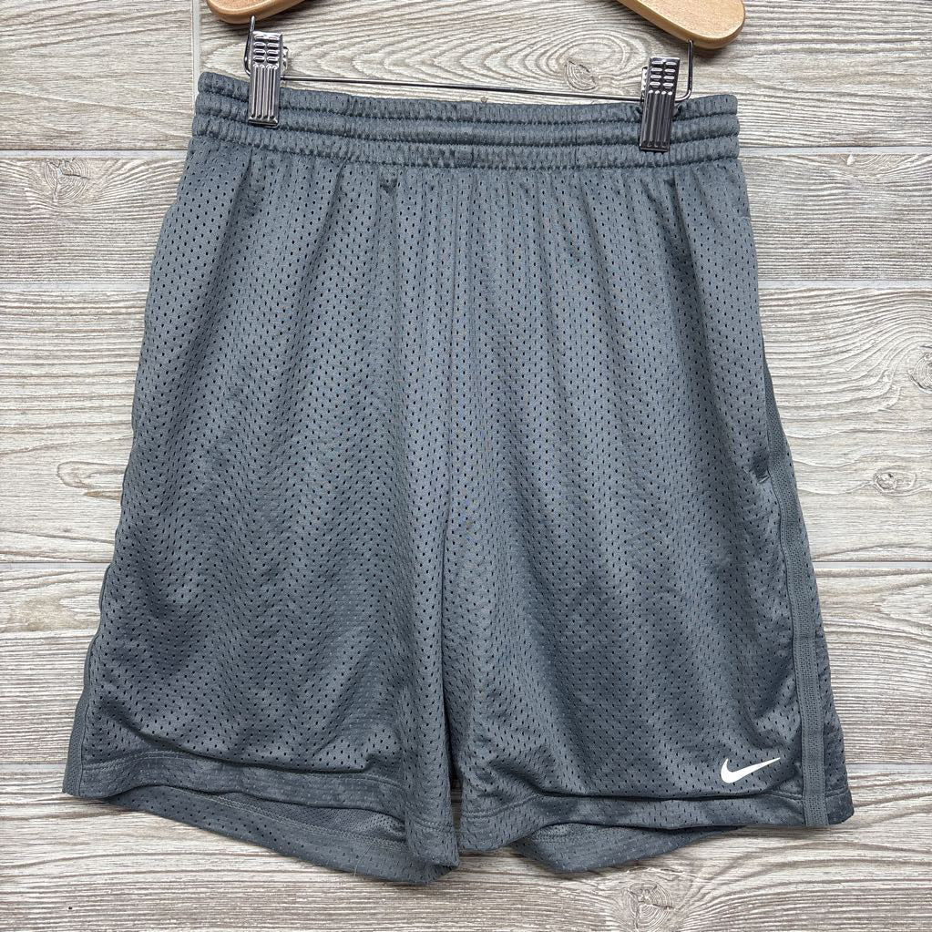 Mesh Active Dri-Fit Shorts 14