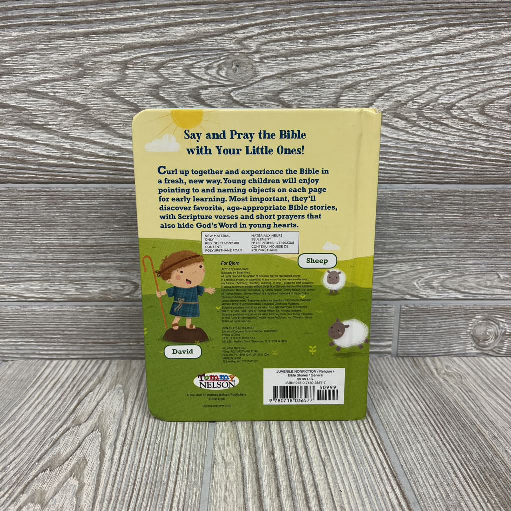 Say & Pray Bible Hardcover Book