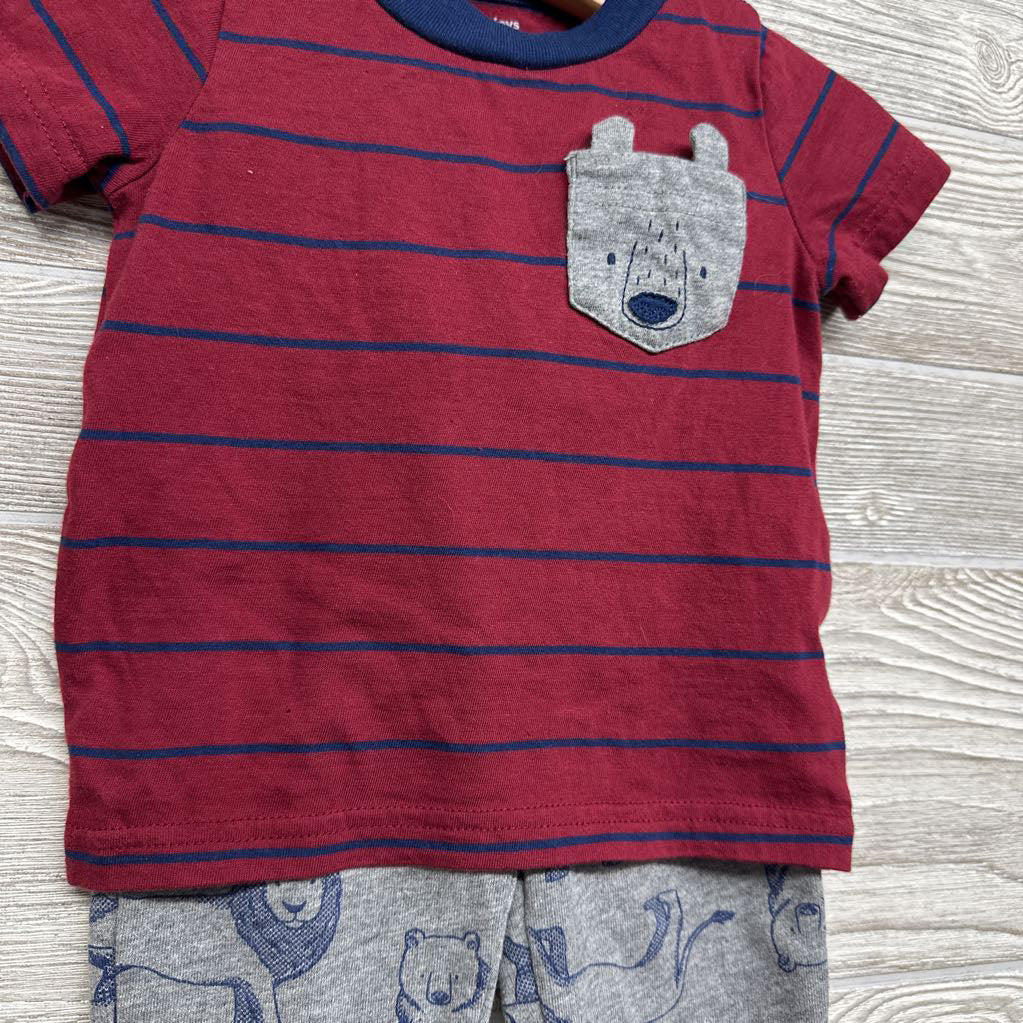 Shirt Stripes Bear & French Terry Pants Bears Lions 12M