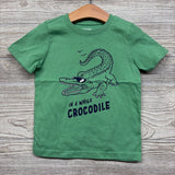 Shirt In A While Crocodile 3t