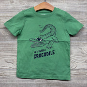 Shirt In A While Crocodile 3t
