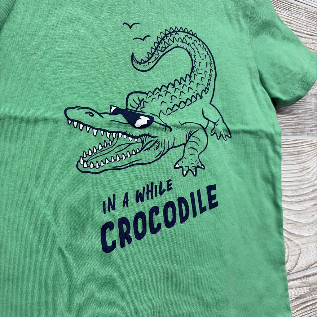 Shirt In A While Crocodile 3t