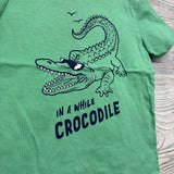 Shirt In A While Crocodile 3t