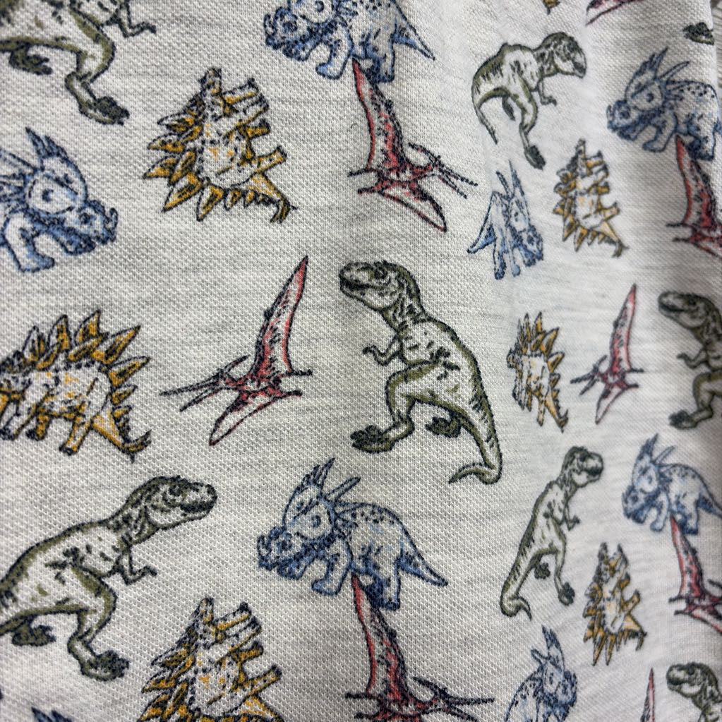 Polo Shirt Dinosaurs 6M