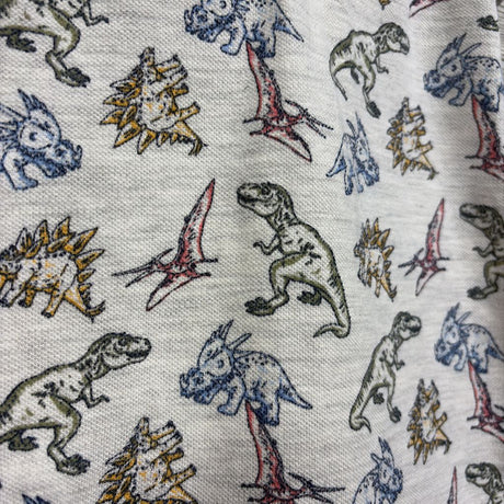 Polo Shirt Dinosaurs 6M