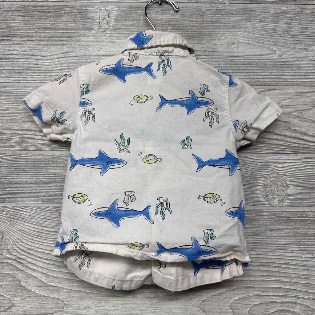 Button Up Shirt Sharks Fish 6M