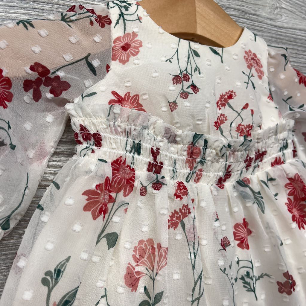 Layered Sheer Dress Flowers NB