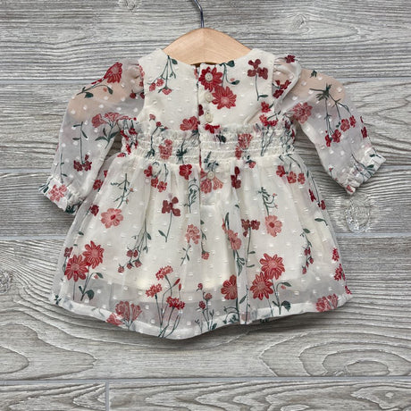 Layered Sheer Dress Flowers NB