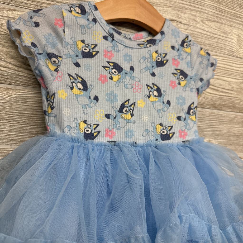 Character Tulle Dress 18M