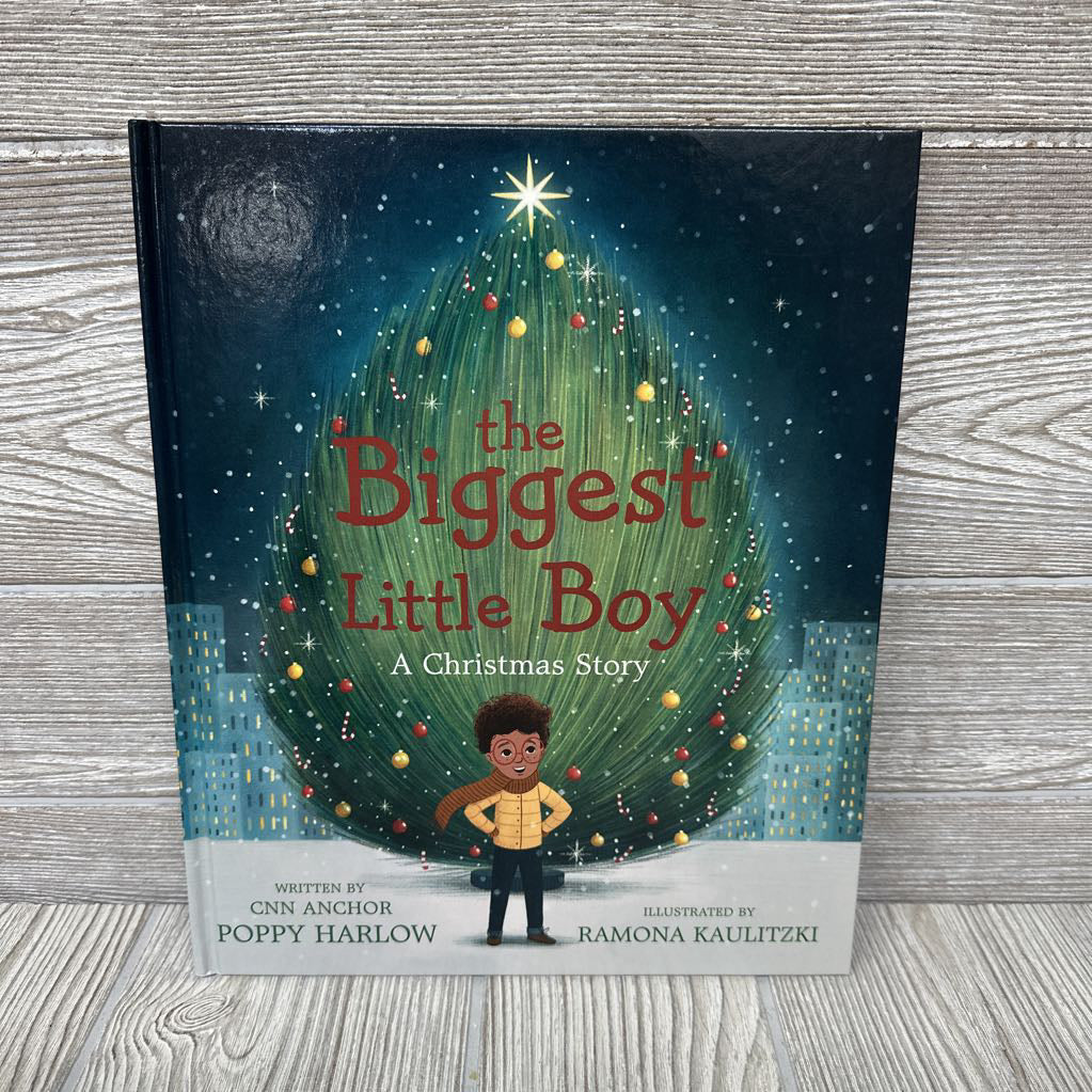 The Biggest Little Boy Hardcover