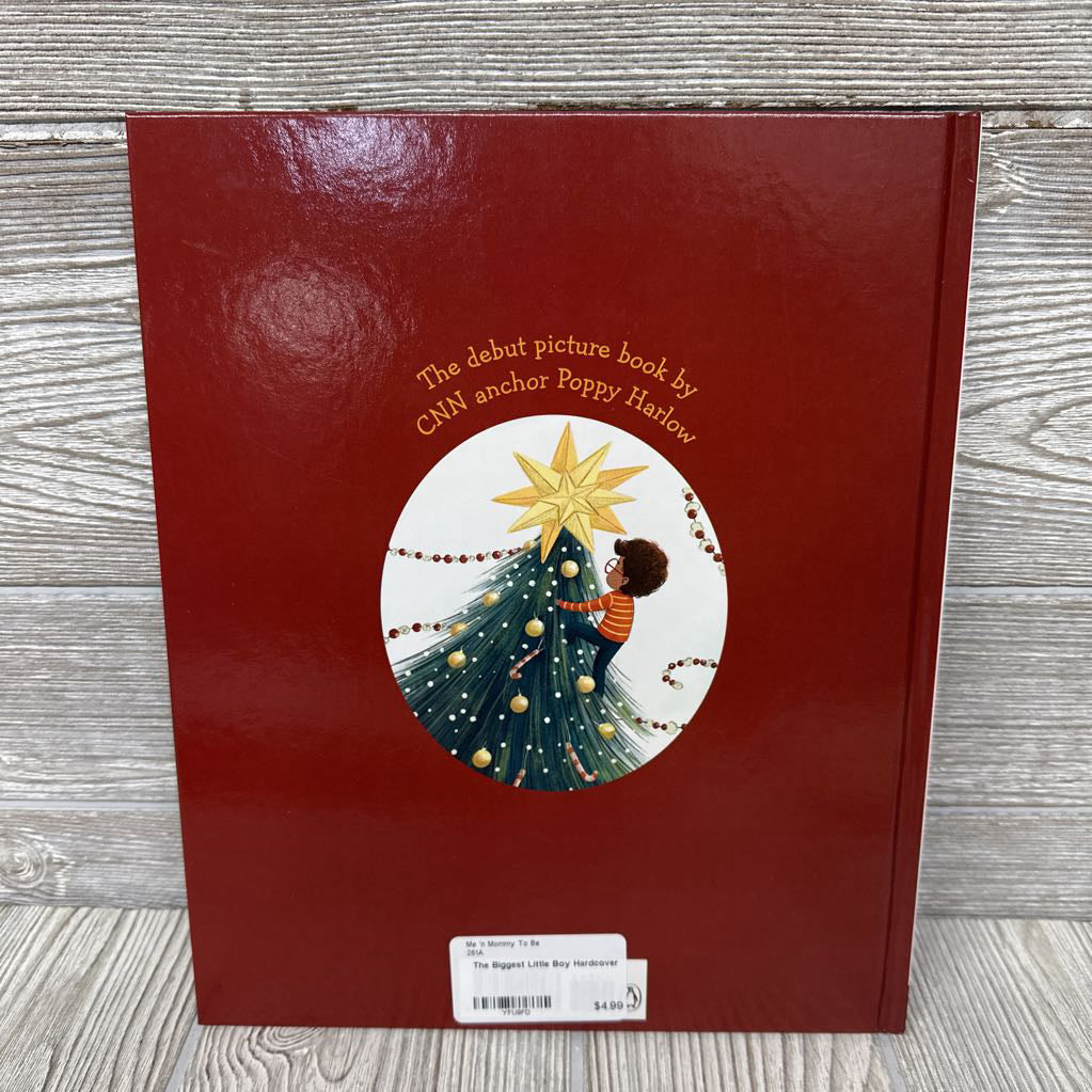 The Biggest Little Boy Hardcover