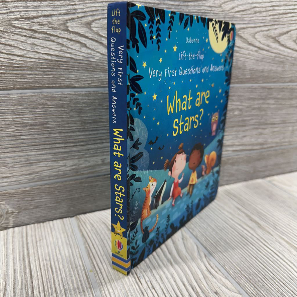 Usborne Lift Flap What Are Stars?