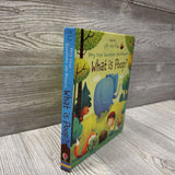 Usborne Lift Flap What Is Poop?