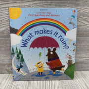 Usborne Lift Flap What Makes It Rain?