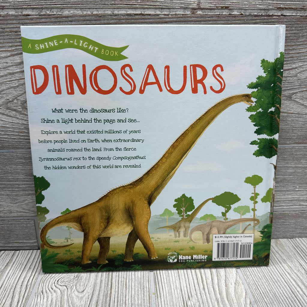 Shine A Light Dinosaurs Book