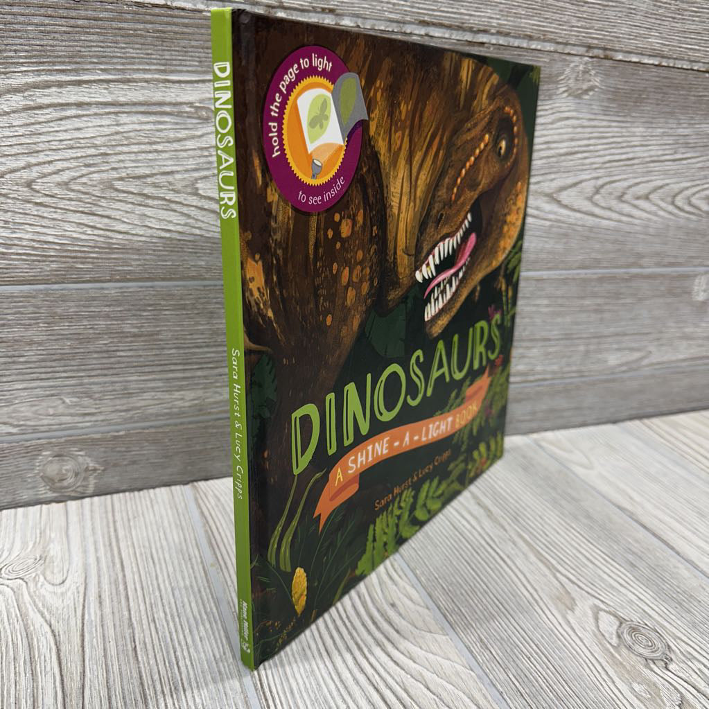 Shine A Light Dinosaurs Book