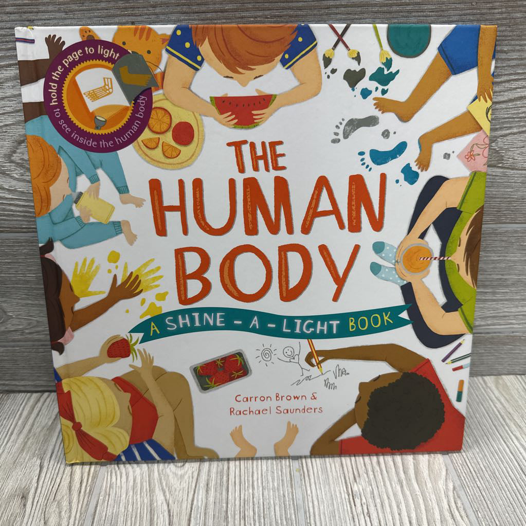 Shine A Light The Human Body Book